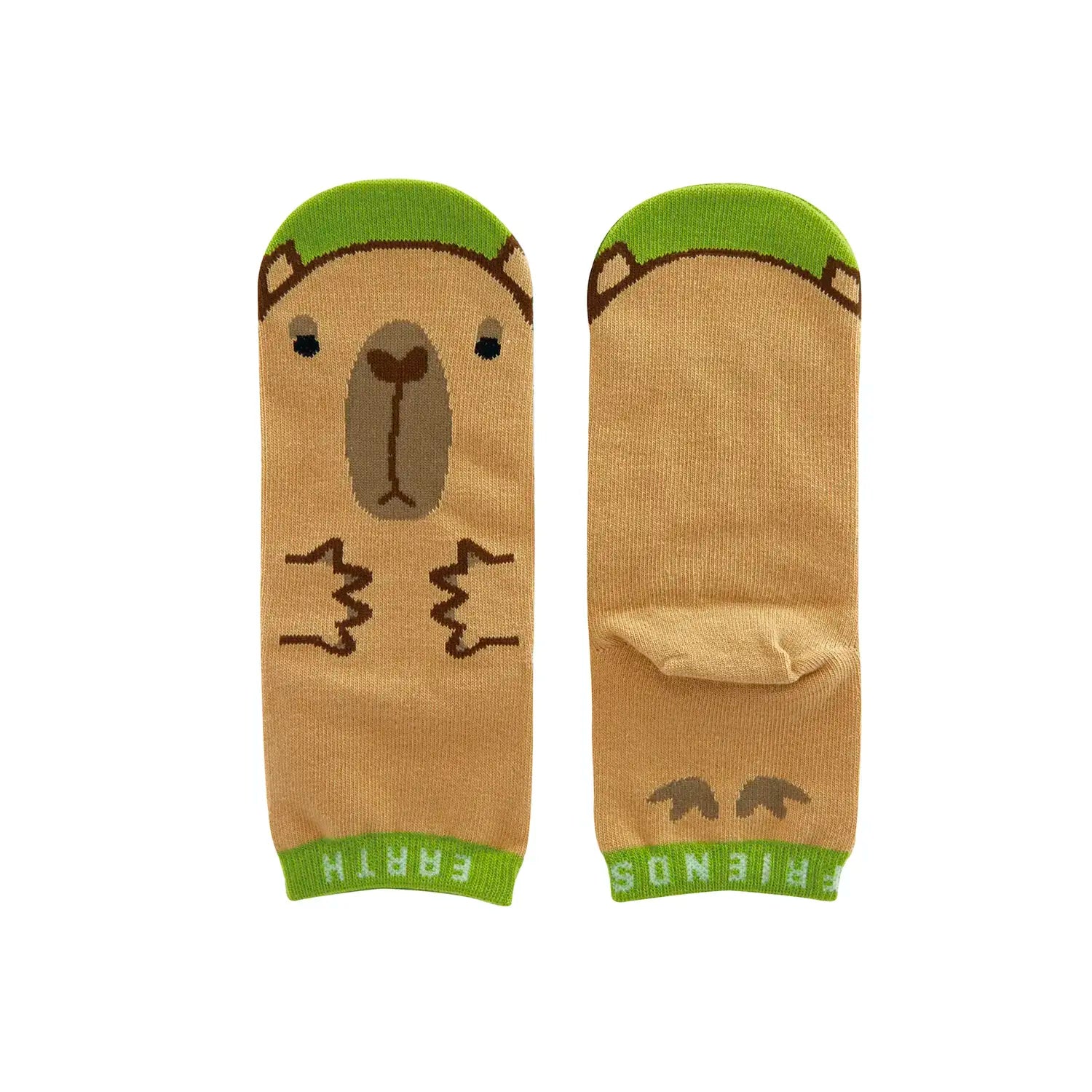 くつした　カピバラ