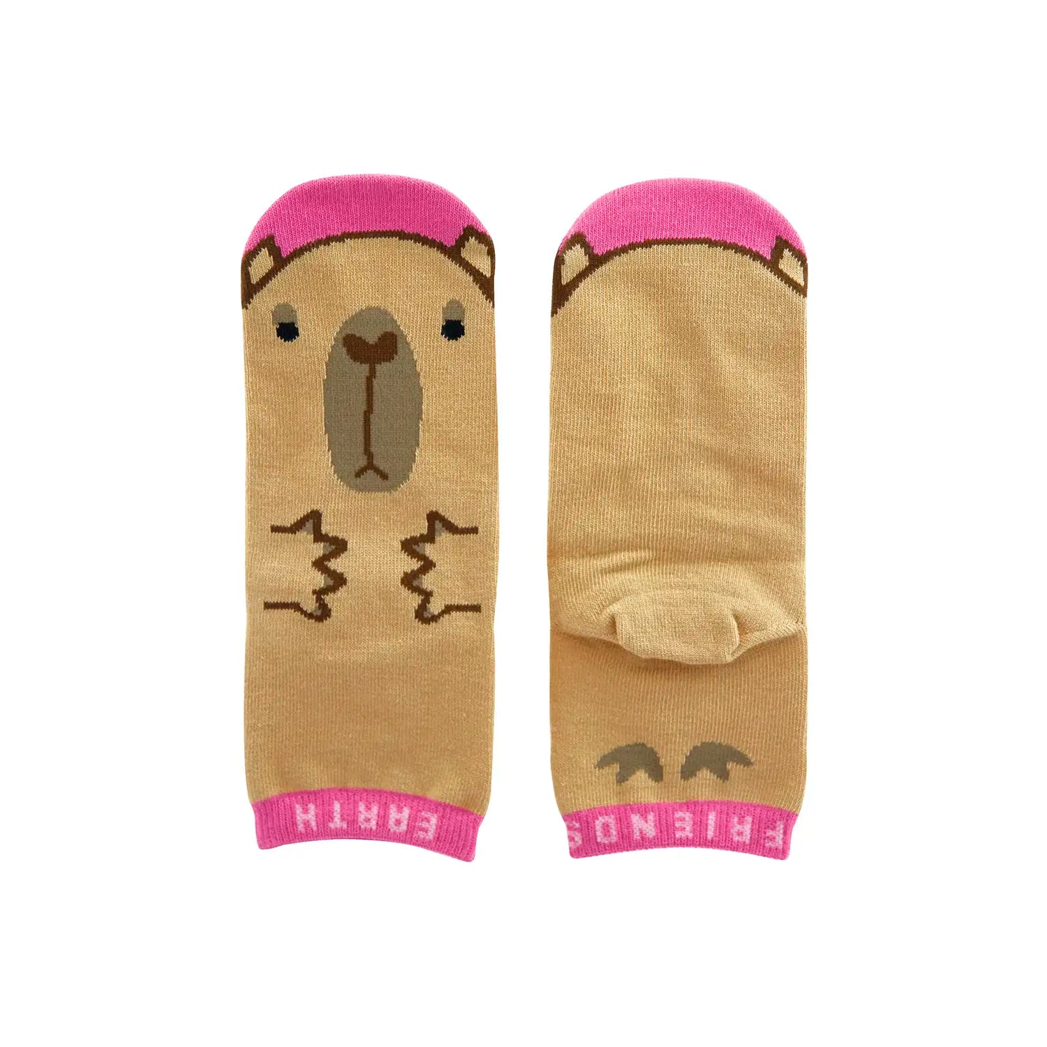 くつした　カピバラ