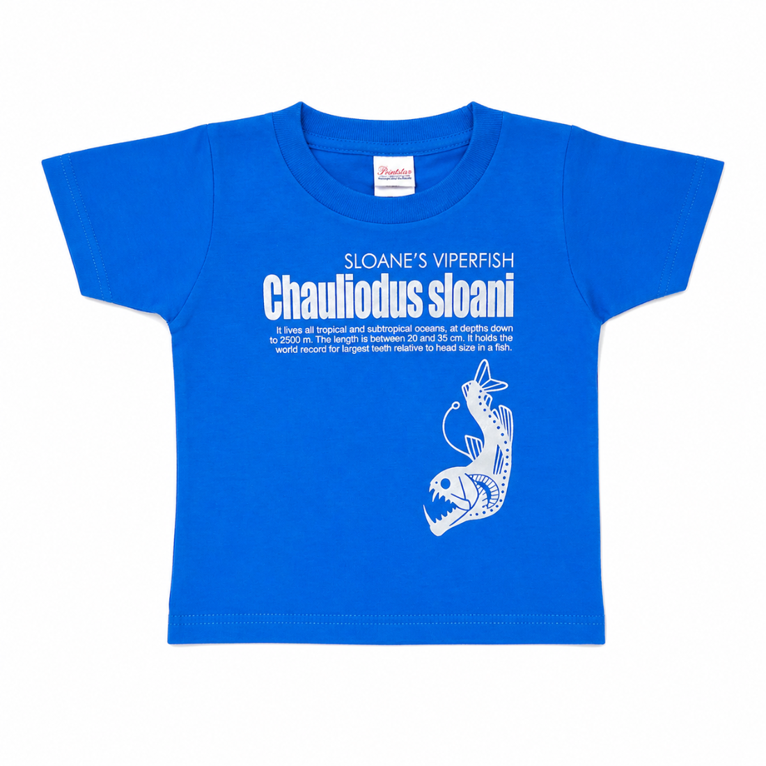 Tシャツ ホウライエソ