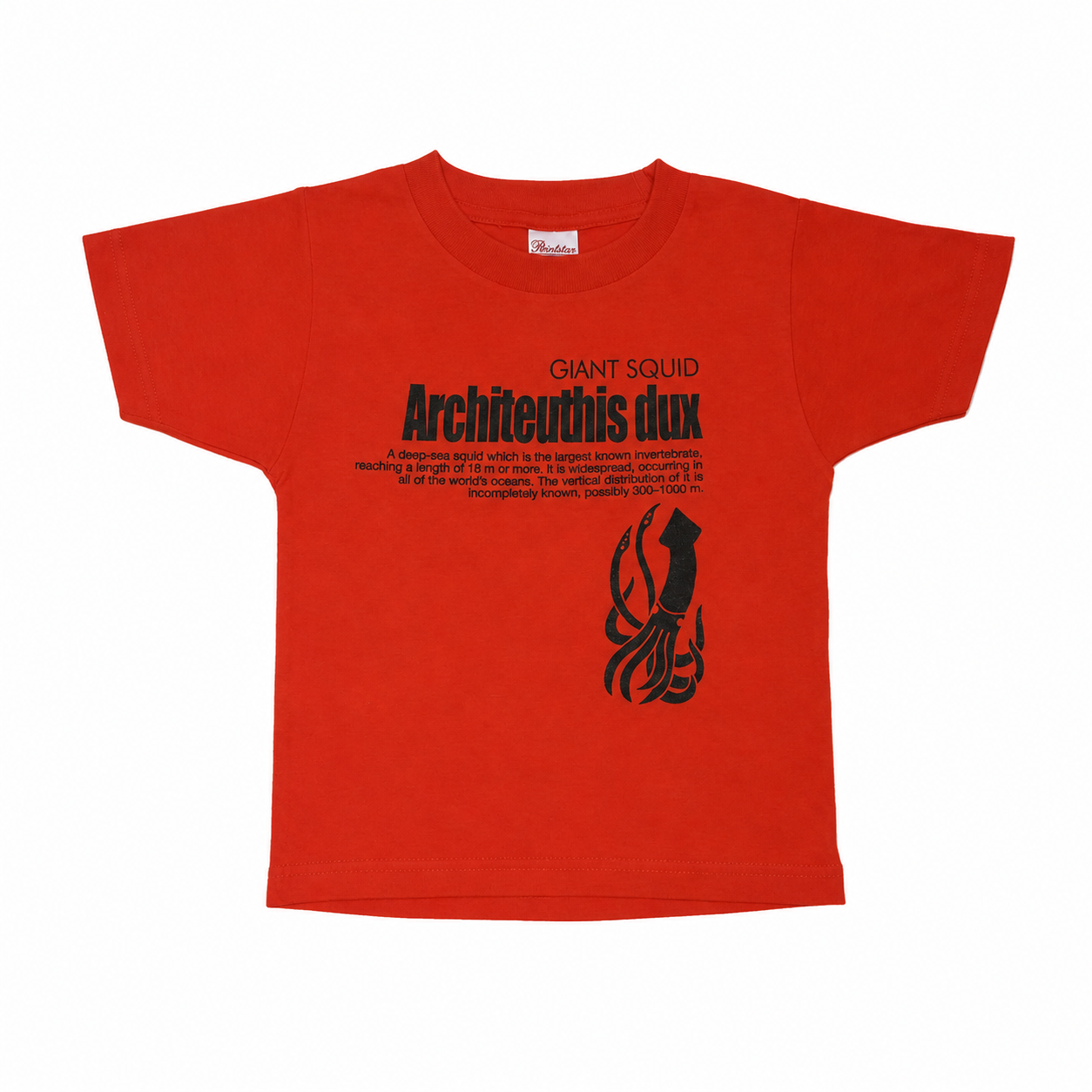 Tシャツ ダイオウイカ