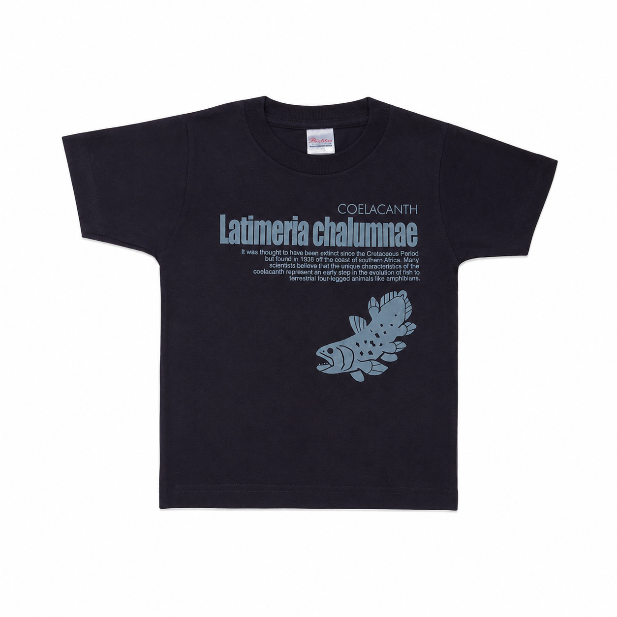 Tシャツ シーラカンス